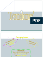 Dermatomas y Miotomas