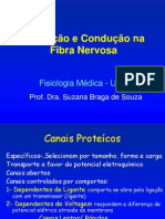 Excitação-Condução Na Fibra Nervosa