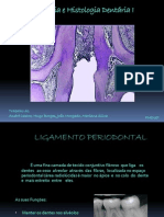 Anatomia e Histologia Dentária I Final