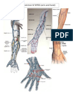 Common IV SITES (Arm and Hand)