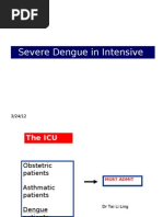 Severe Dengue in ICU