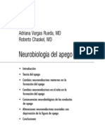 Neurobiologia DEL APEGO