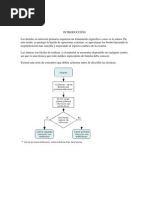 INTRODUCCIÓN Practica Suturas