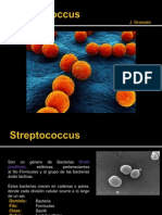 Streptococcus