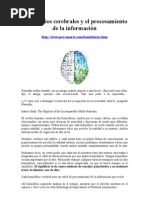 Hemisferios Cerebrales y El Procesamiento de La Información