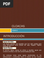 Cloacas