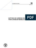 Captura de Carbono en Suelos