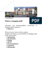 What Is A Shopping Mall?