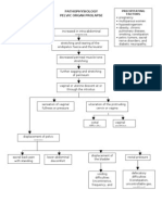 Pathophysiology Pelvic Organ Prolapse