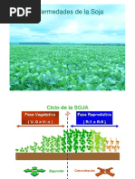 Enfermedades Foliares en Soja