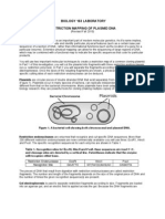 Restriction Mapping