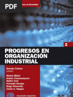 Organizacion Industrial