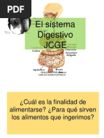 Sistema Digestivo de Juan