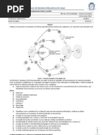 4testebio 1112