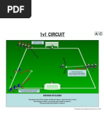 1 V 1 Circuit