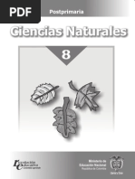 Ciencias de 8 Grado