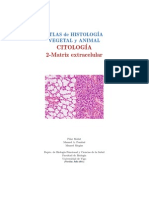 Atlas Celula 02 Matriz Extracelular