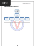 Organizational Chart at Macro Level