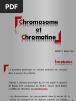 Chromosome Et Chromatine