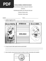 Evaluacion 4 Tipos de Celulas