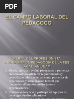 El Campo Laboral Del Pedagogo