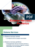 Sistema Nervioso Periferico