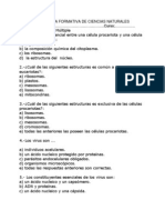 Prueba Formatica Celula 2012