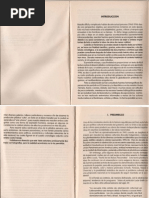 Introduccion de Algunos Alcances Sobre El Arte Peruano - Nanda Leonardini