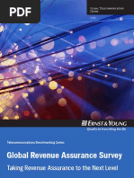 EY Revenue Assurance Report 2008