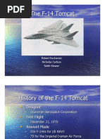 The F-14 Tomcat