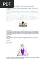 Serie para La Flexibilidad de La Columna Vertebral