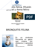 Bronquitis Asma Efusion