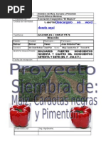 Proyecto Siembra de Maiz, Caraotas Pimentonn