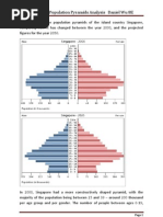 Population Pyramids Analysis - Singapore Daniel Wu