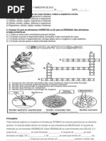 Avaliação de Ciencias 801