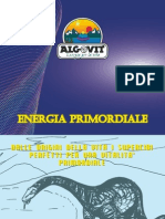 Energia Primordiale