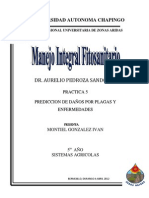 Practica 5. - Predicción de Daños Por Plagas y Enfermedades