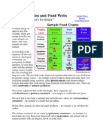 Food Chains and Food Webs