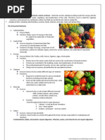 IGCSE Biology Digestive System