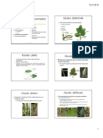 Folhas - Estruturas e Adapta+º+áes