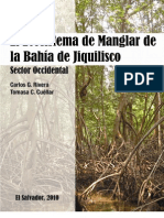 El Ecosistema de Manglar de La Bahía de Jiquilisco