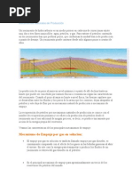 Mecanismos Naturales de Producción