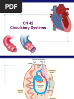 CH 42 Circulatory Systems: AP Biology