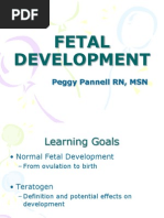 Fetal Development