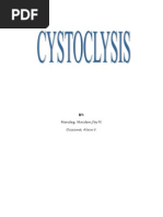 CYSTOCLYSIS3