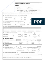 Formato Encuestas Local