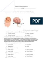 Examen de Sistema Nervioso Central