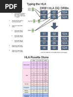 Hla DR Typing