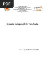 SEGUNDO Reporte de Servicio Social