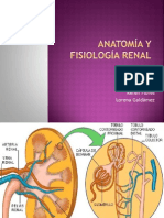 Anatomía y Fisiología Renal